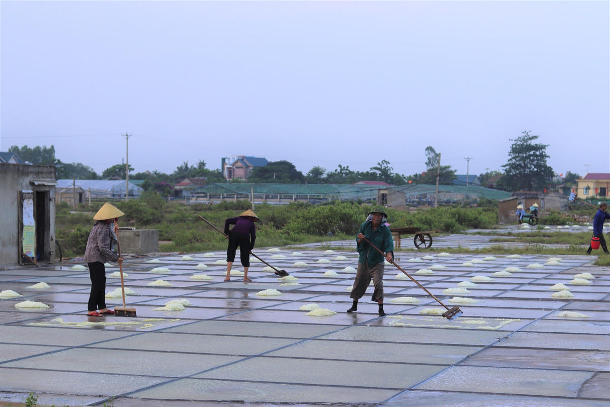Về Hòa Lộc trong một chiều tháng 5, trên đồng những cánh đồng muối Tam Hòa thời tiết nóng hầm hập như trong lò lửa, nhìn những thửa ruộng của diêm dân dần lấp lóa đến nhức mắt. 