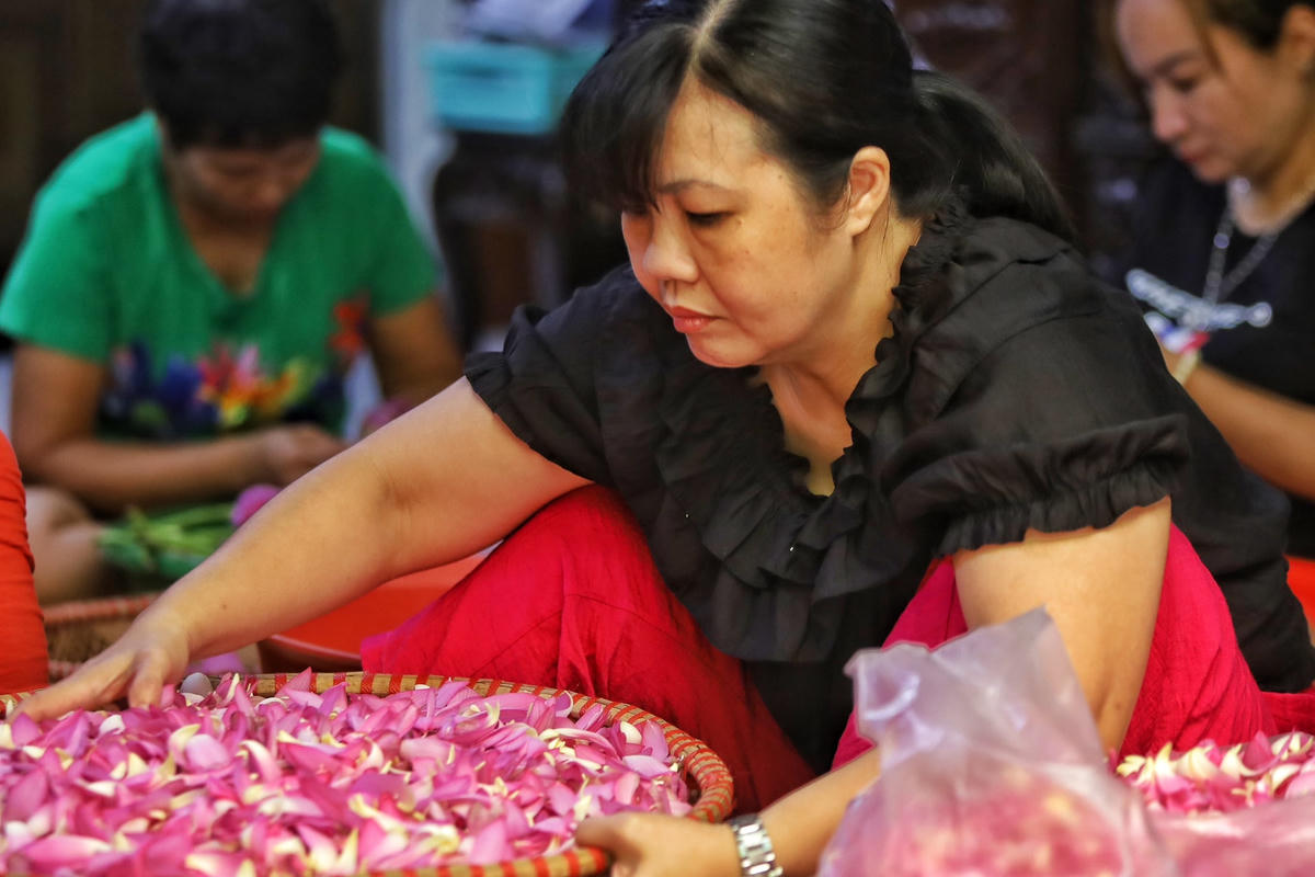  1kg trà sen truyền thống sẽ cần khoảng 1kg gạo sen, người ướp trà phải lấy từ 1.000-1.200 bông sen hồ Tây.  