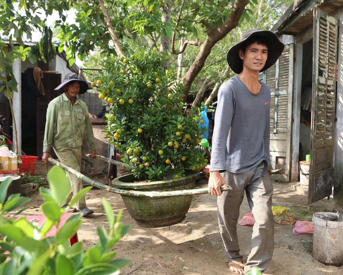 Người dân đưa chậu quất đi bán.