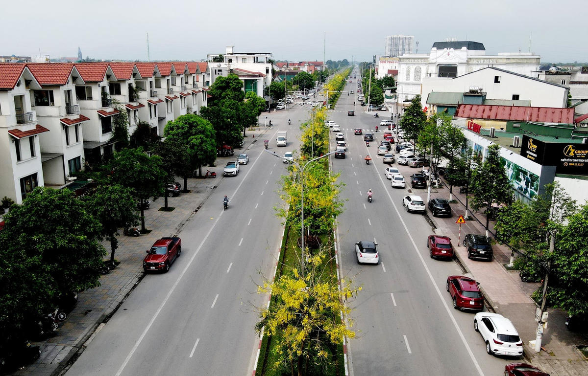 Tuyến đường Hàm Nghi đang được nhuộm vàng bởi muồng hoàng yến, tô điểm cho phố phường Hà Tĩnh thêm phần rực rỡ. Ảnh: Cẩm Kỳ