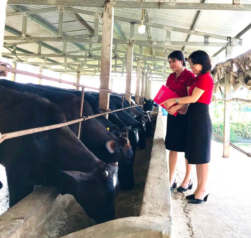 Nguồn vốn Agribank hỗ trợ giảm nghèo nhanh và bền vững tại các địa phương trên cả nước.
