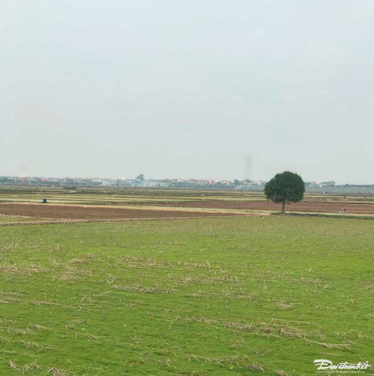 W_img-6504.jpg