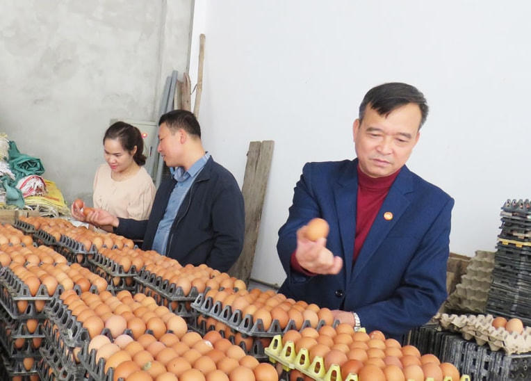 Ông Dương Văn Thiệu với mô hình chăn nuôi gà đẻ năng suất cao. Ảnh: Sơn Lâm.