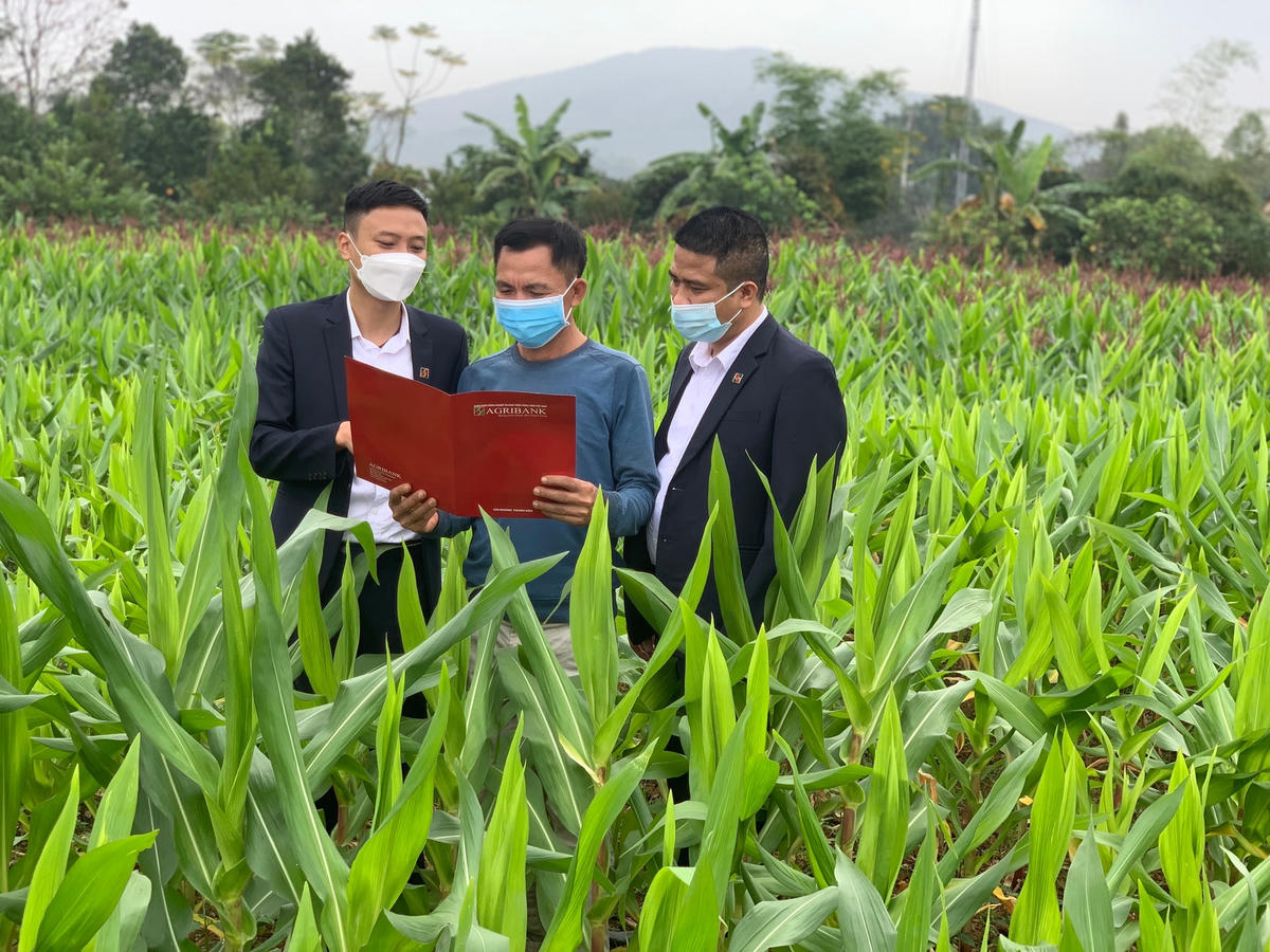 Agribank - khẳng định vai trò chủ lực đầu tư 'Tam nông'