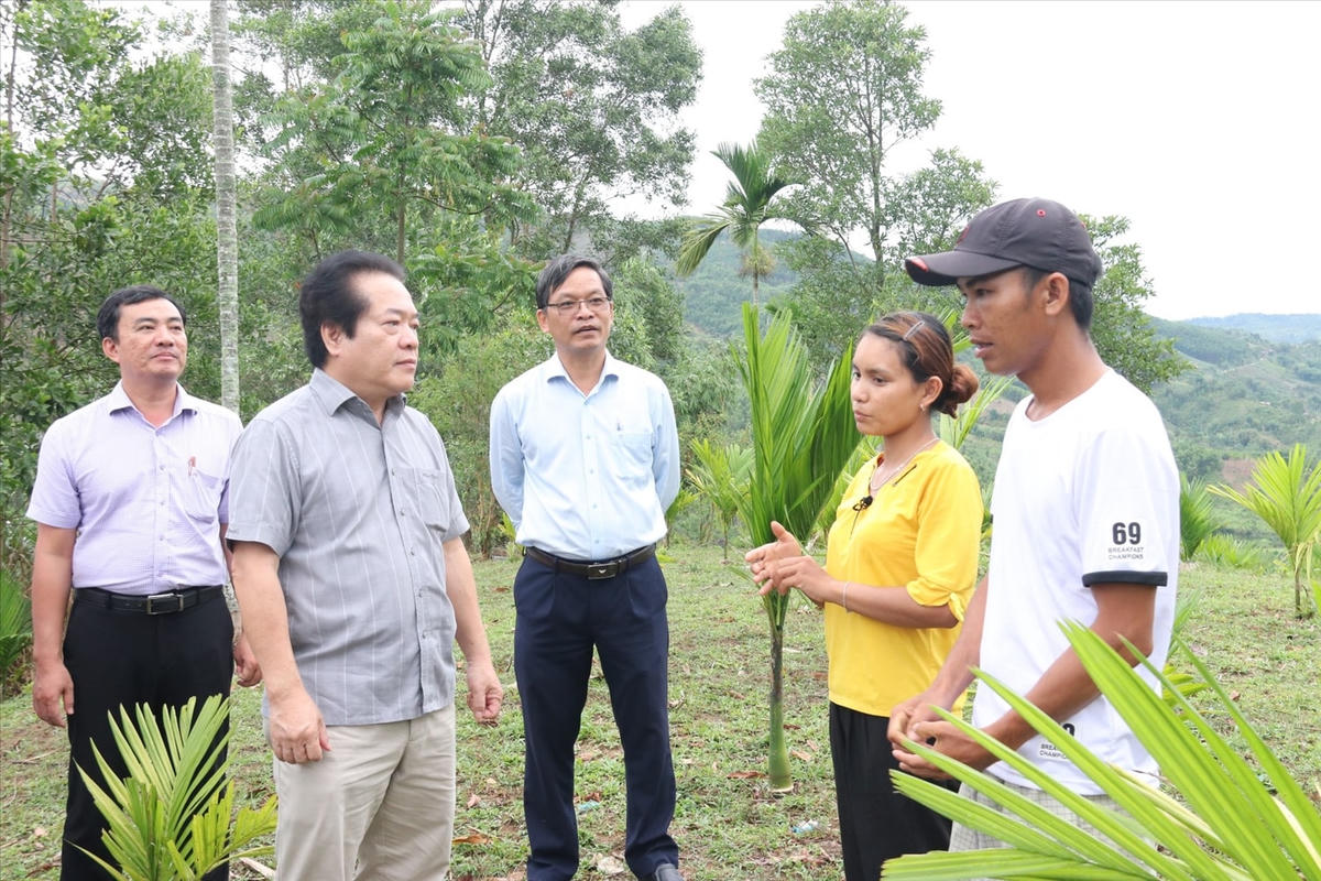 Lãnh đạo tỉnh Quảng Ngãi chỉ đạo sát sao các địa phương tập trung triển khai hiệu quả Chương trình MTQG 1719.