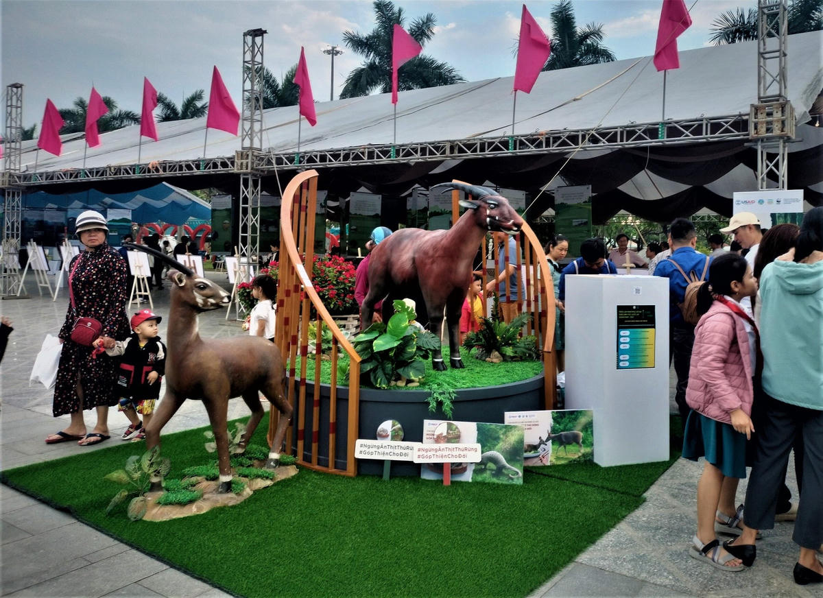 trien-lam-3(1)-c5d25d128fe7ffa009d453040c52b672.jpg