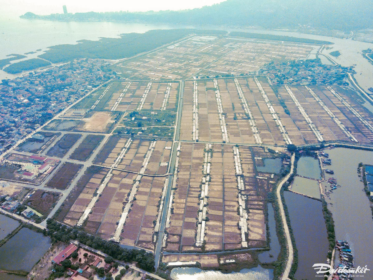 dji_fly_20241010_103826_663_1728531593672_photo (1)