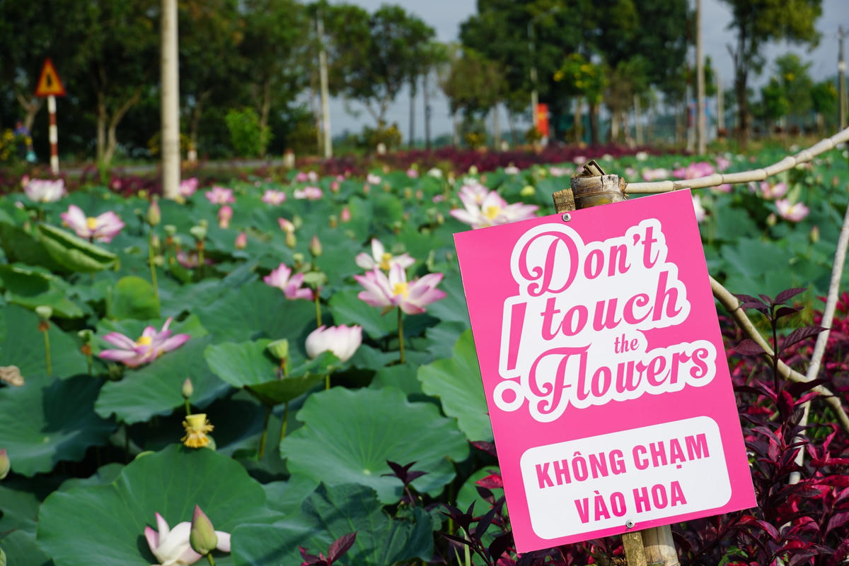 “Thưởng hoa chứ không hái hoa”, một tấm bảng “dễ thương” mang phong cách “tone sur tone”. Ảnh: Mạnh Thìn.