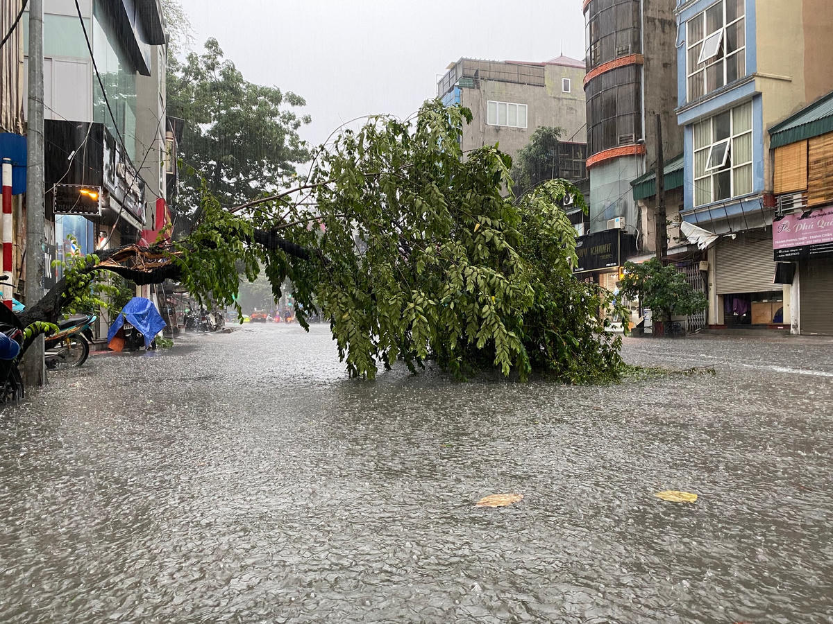 Mưa lớn, gió giật mạnh đã khiến một cây nhỏ trên đường Lê Duẩn gãy đổ, chắn ngang đường.