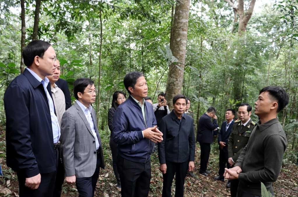 Đoàn công tác khảo sát mô hình trồng, chăm sóc, bảo vệ rừng của người dân ở xã Tân Dân, TP Hạ Long. Ảnh: Cổng thông tin điện tử tỉnh Quảng Ninh.