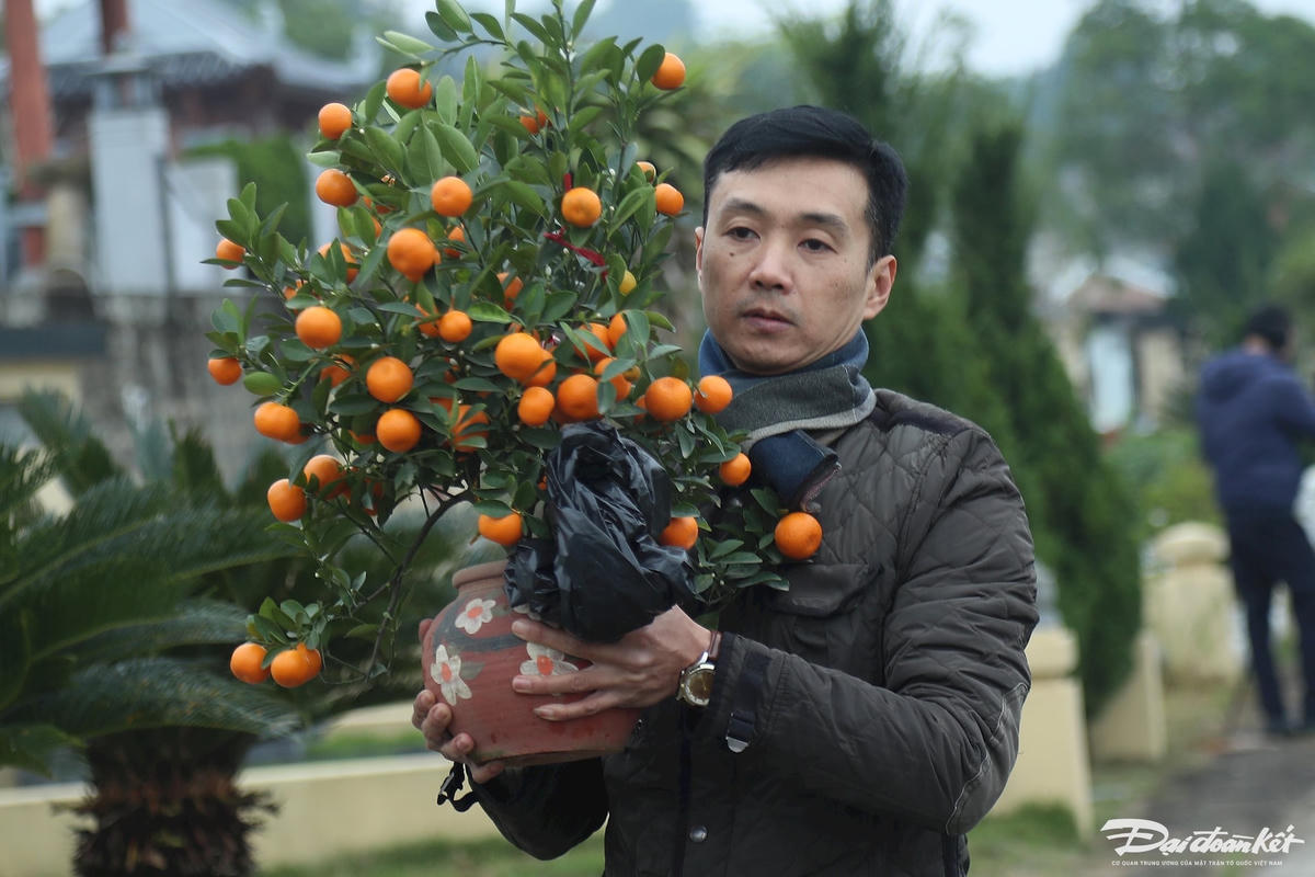 W_tao_mo-le-khanh15.jpg