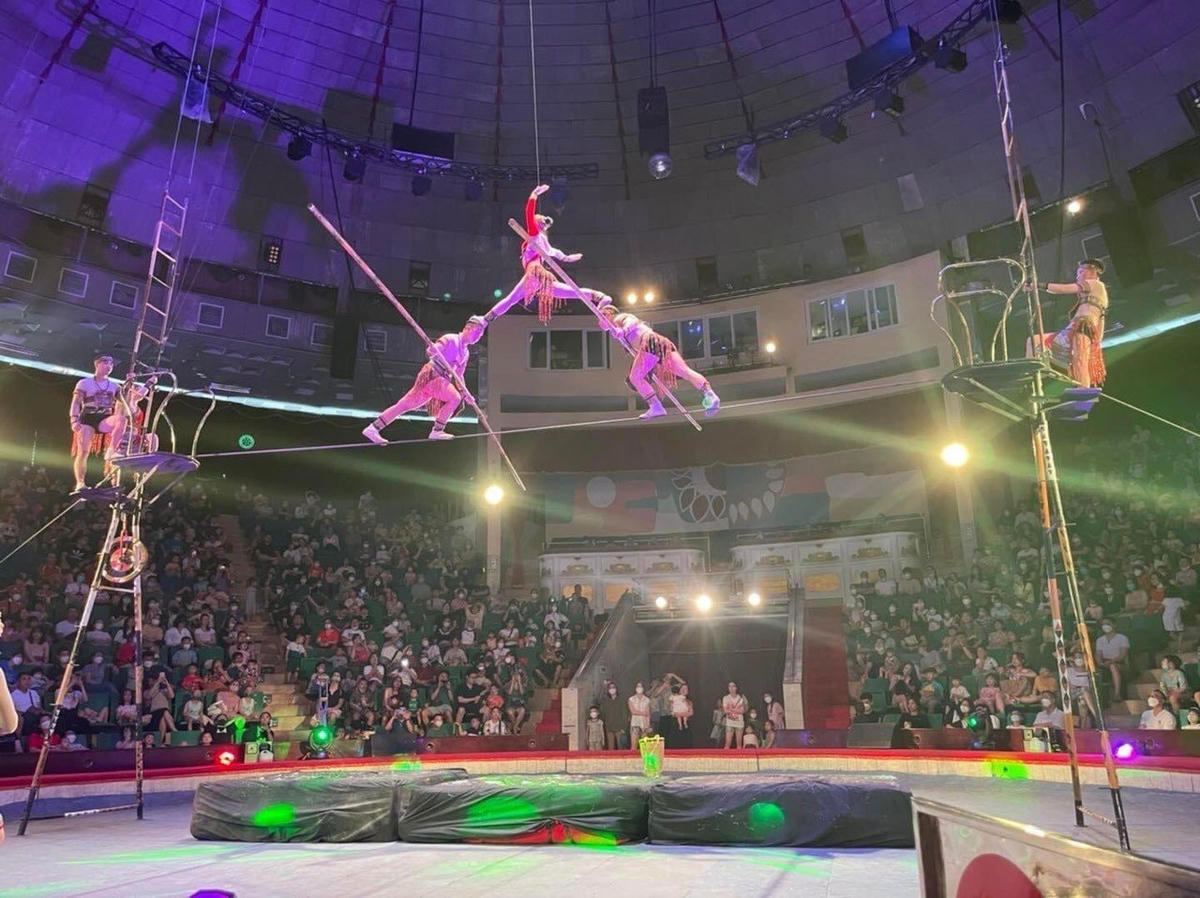 Tính nguy hiểm trong các tiết mục xiếc là yếu tố thường xuyên.