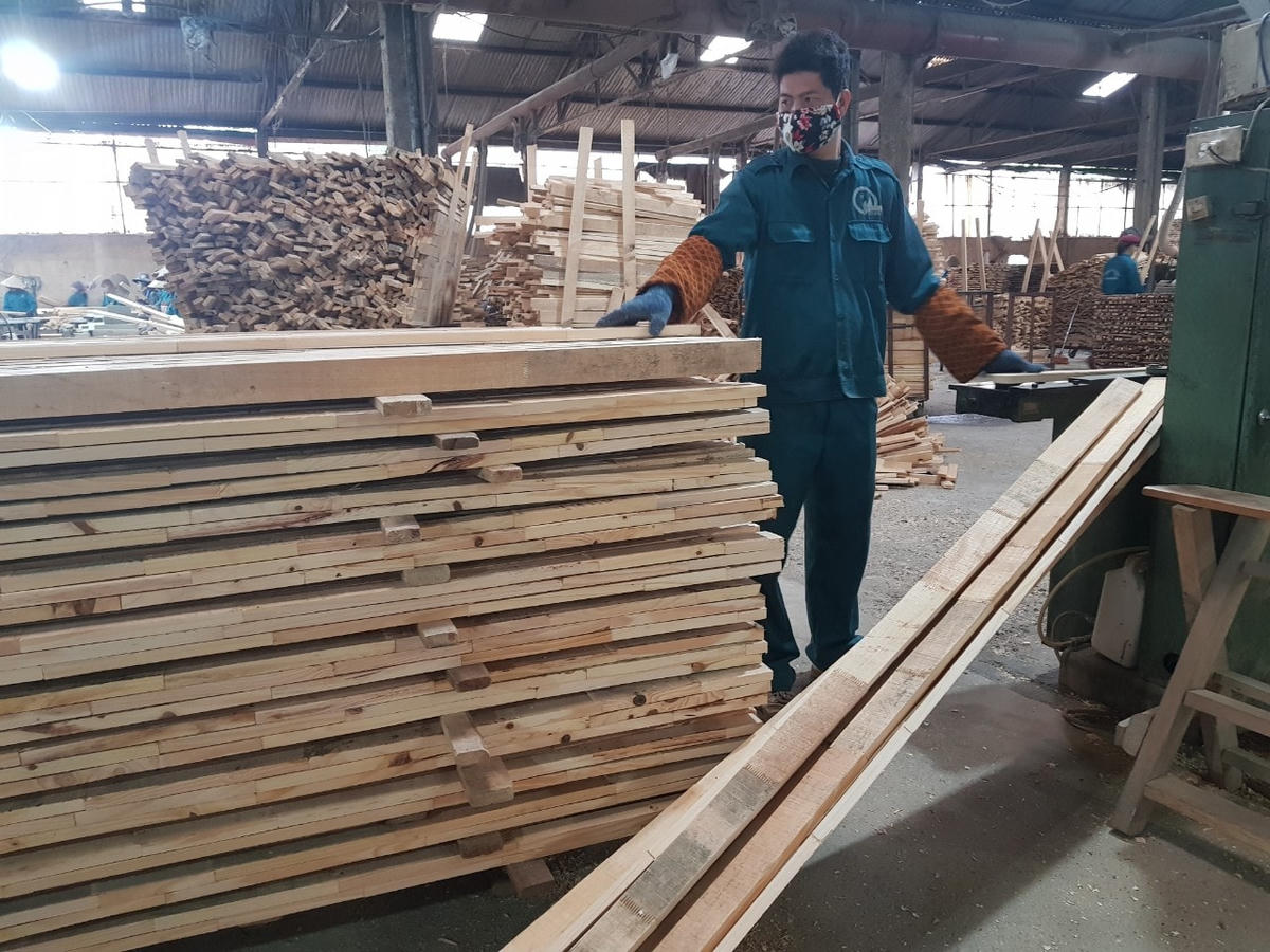 Ngành gỗ đang đứng trước nhiều thách thức