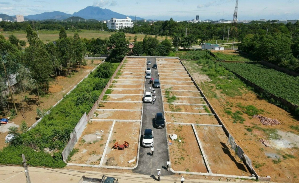 Thời gian qua, việc tùy tiện phân lô, bán nền làm nhiễu loạn thị trường bất động sản. Ảnh: Minh Tâm