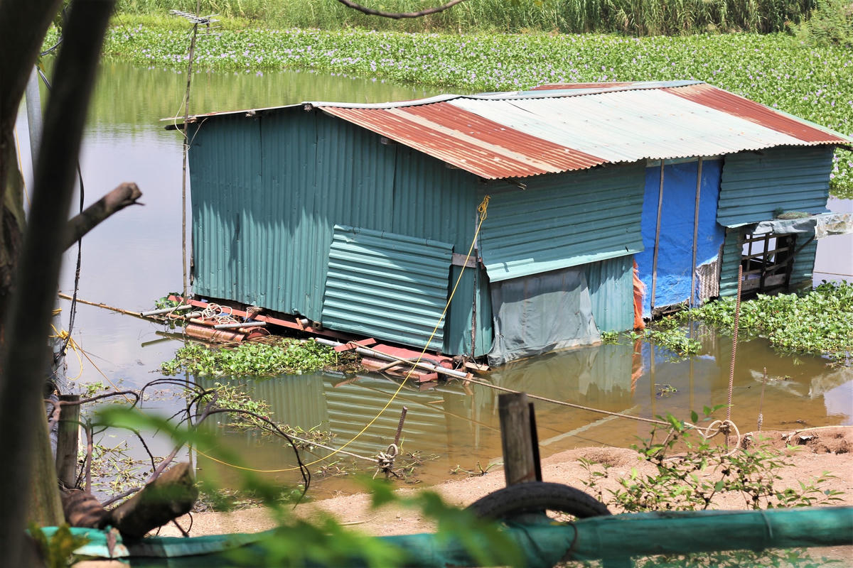 Những ngôi nhà tạm bợ được dựng lên bởi những chiếc mái tôn.