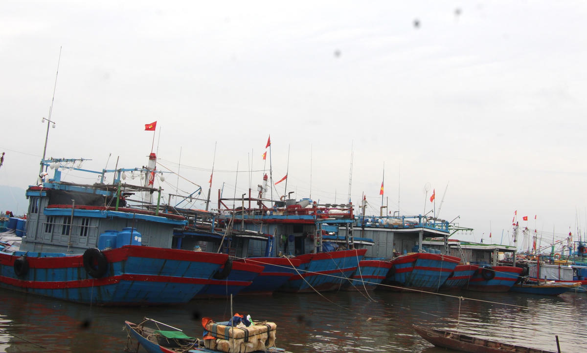 Tàu cá Quảng Nam đang neo đậu trú bão ở âu thuyền An Hòa.
