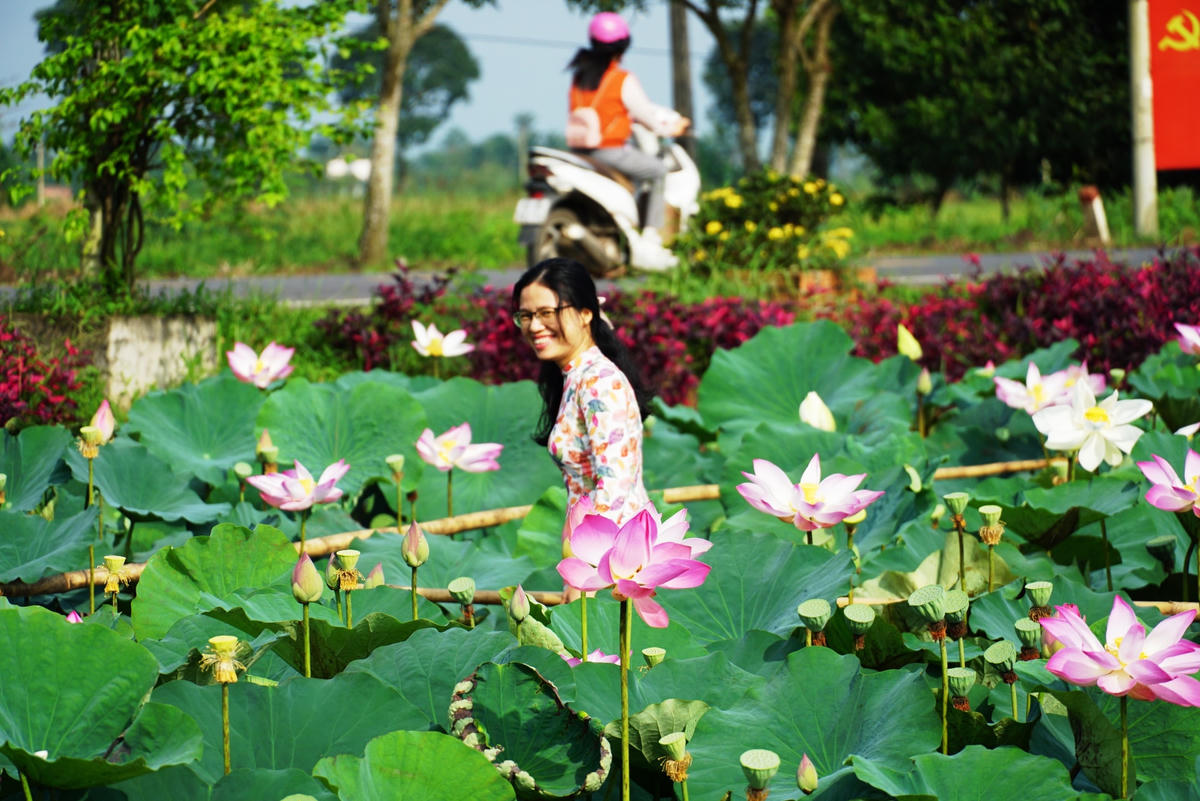 Nụ cười tươi tắn giữa cánh đồng sen. Ảnh: Mạnh Thìn.