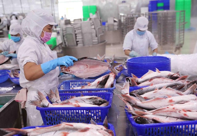 Xuất khẩu thủy sản dự kiến cán đích sớm.