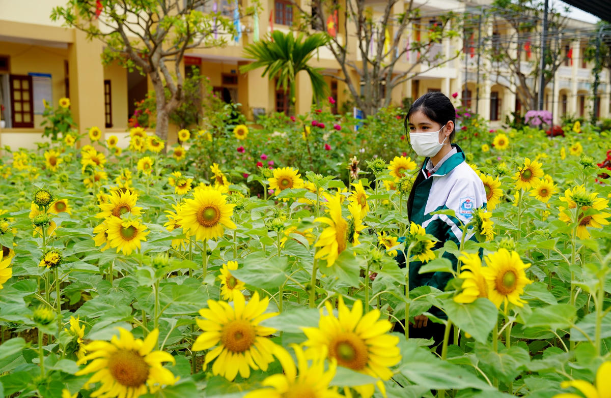"Vườn trường rực rỡ với đầy đủ các loài hoa, sân trường thì cây cối xanh tươi, khiến chúng em cảm thấy giờ học, giờ chơi trở nên thú vị và tràn đầy cảm hứng...", em H.V.N. (học sinh lớp 6, Trường THCS Mỹ Châu nói).