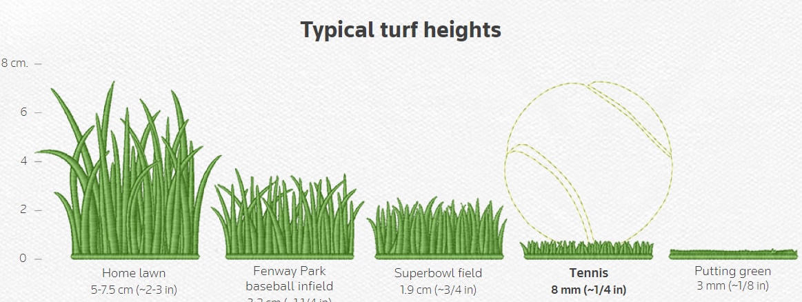 Chiều cao cỏ lý tưởng trên sân của Wimbledon là 8 mm. Ảnh: CNN.