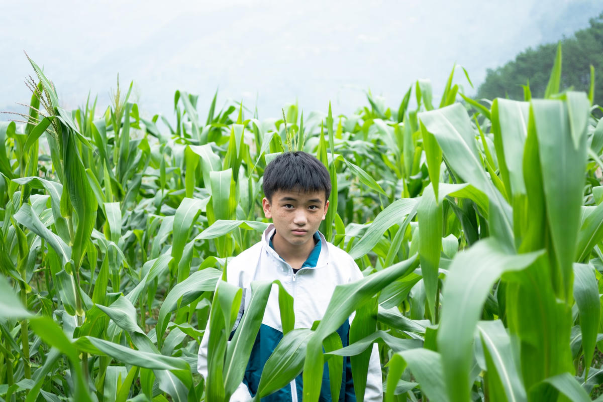 Cậu học sinh nghèo người Dao hái chè thuê từ năm lớp 6 để kiếm tiền đến trường