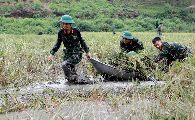 bo-doi-cu-ho-13.jpg
