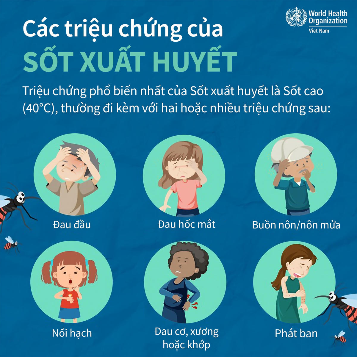 WHO hướng dẫn nhận biết triệu chứng và điều trị bệnh sốt xuất huyết