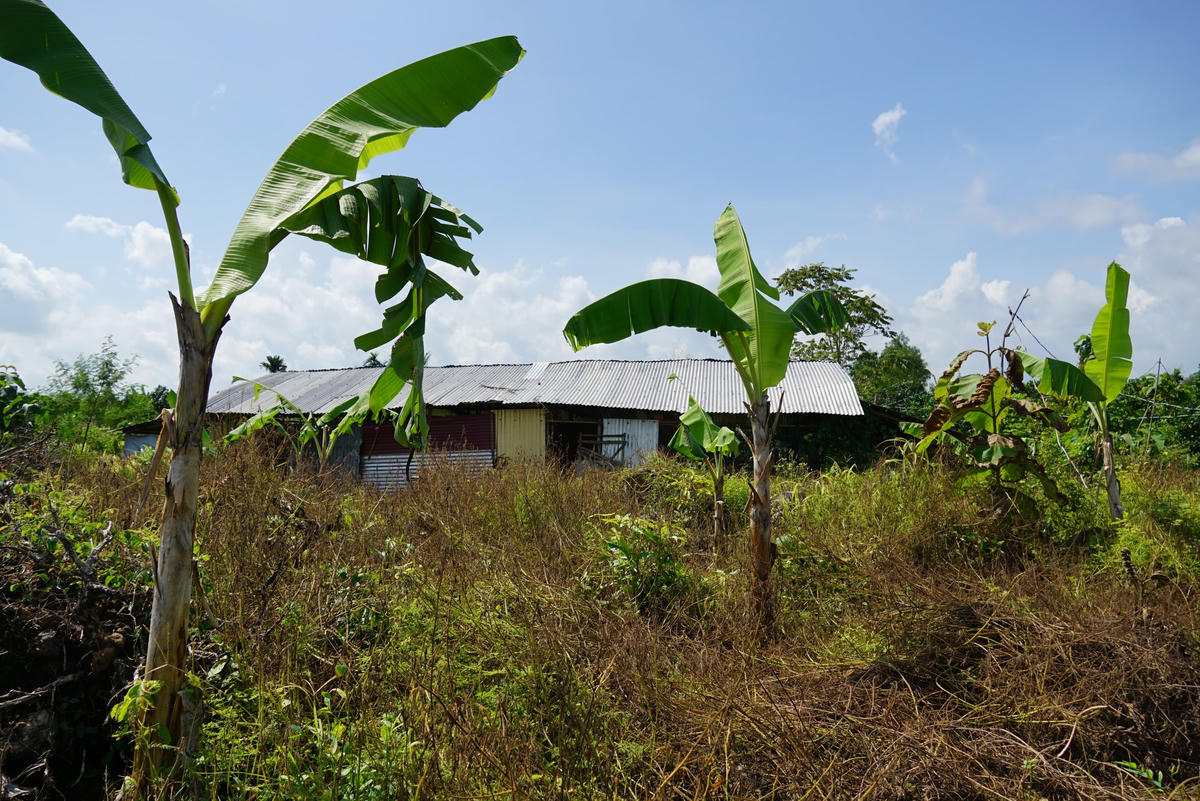 Đất công bị người dân bao chiếm. 