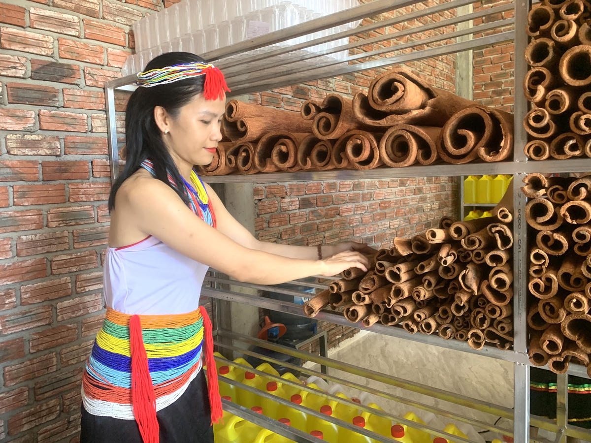 Các sản phẩm quế Trà My được trưng bày bán.