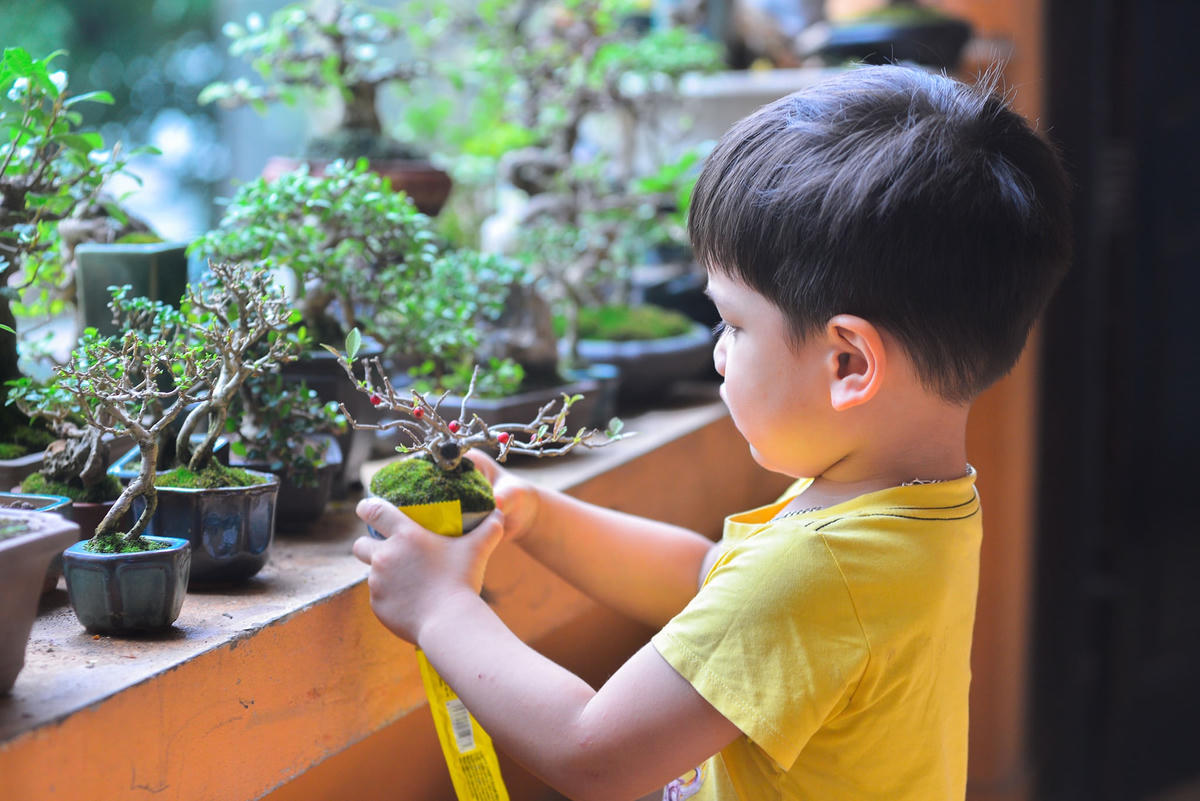 Xuất phát từ tình yêu thiên nhiên, anh Huy biến những cây dại bên đường thành bonsai có giá trị cao. 