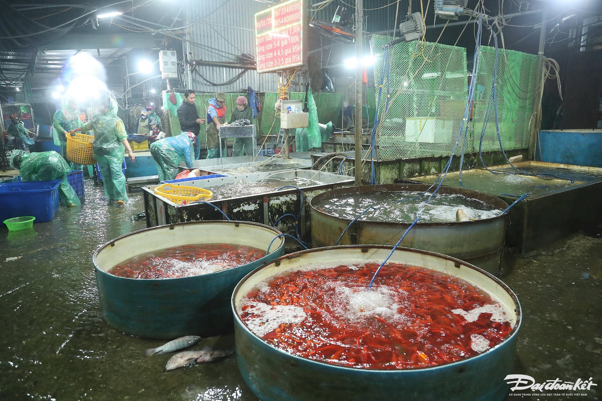 W_ca_chep_ong_cong_ong_tao-le-khanh10.jpg