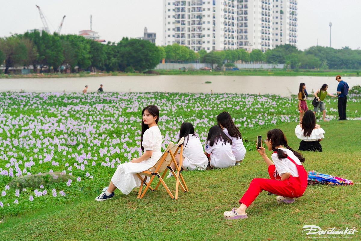 hoa_beo_tay-le-khanh13.jpg