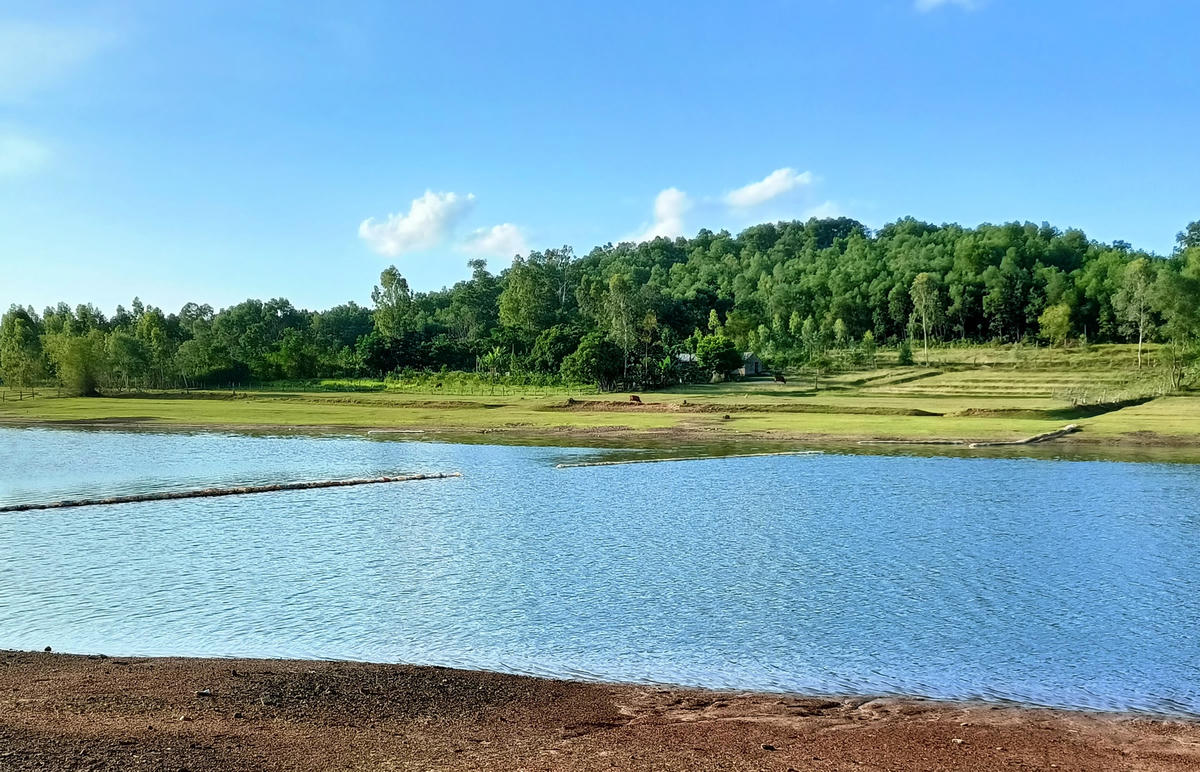Tấm lưới dài dùng để ngăn hồ Khe Lang phục vụ việc chăn nuôi cũng bị kẻ gian cắt nhiều khúc.