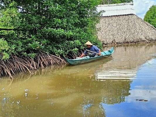 Sản phẩm tôm - rừng được chứng nhận theo các tiêu chuẩn quốc tế sẽ được các doanh nghiệp chế biến xuất khẩu thu mua với mức giá cao hơn khoảng 5-10% so với sản phẩm truyền thống khác.