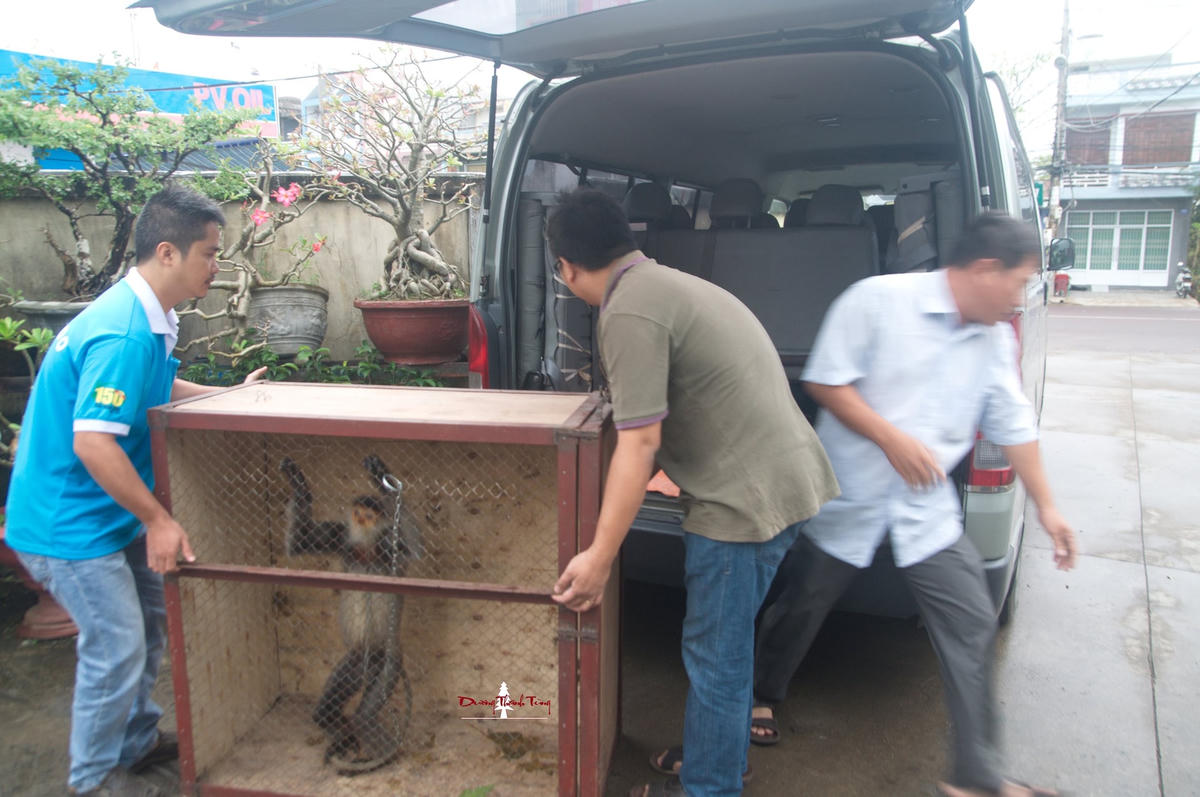 anh-6.-tung.-daulongnuoinhot.jpg