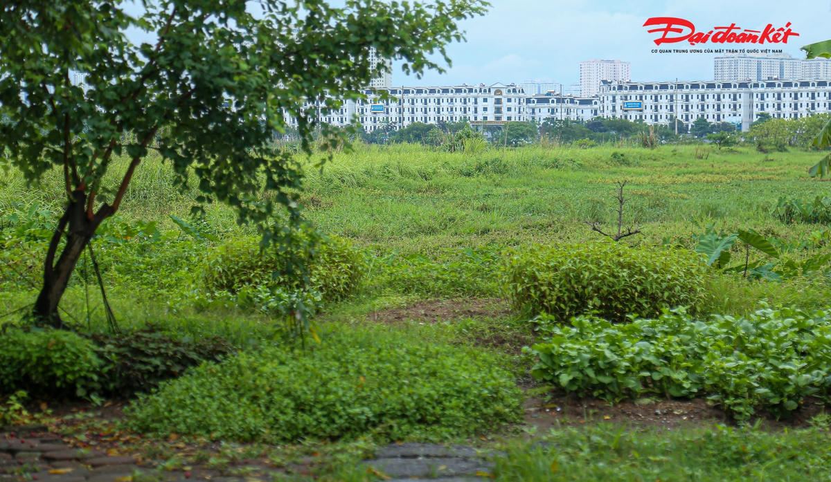 Làng rèn Đa Sỹ trông ngóng hơn thập kỷ chờ xây dựng khu sản xuất tập trung