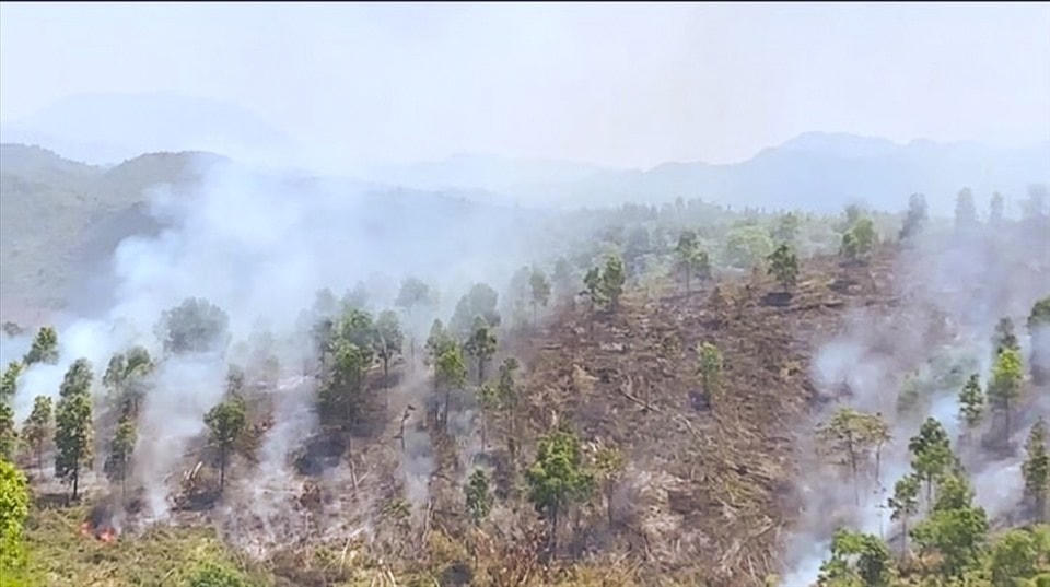 Điện Biên cảnh báo nguy cơ cháy rừng đến cấp IV, cấp V.