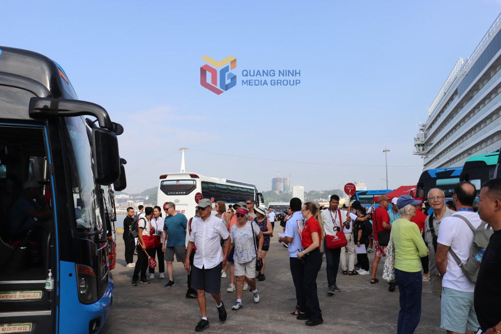 Các hãng lữ hành đón khách đi tham quan các điểm du lịch nổi tiếng của Hạ Long. Ảnh: QMG