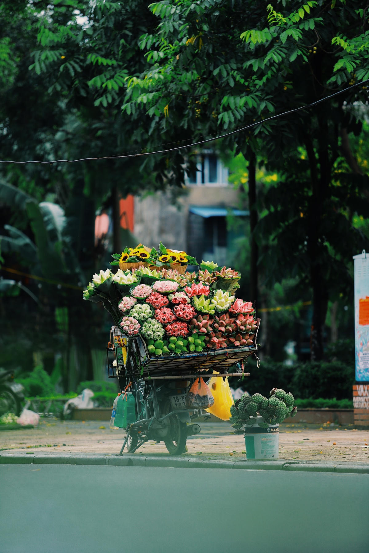 Hoa theo chân những người bán rong vào trong phố. Ảnh: Hoàng Đỗ.  