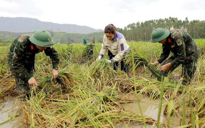 bo-doi-cu-ho-14.jpg