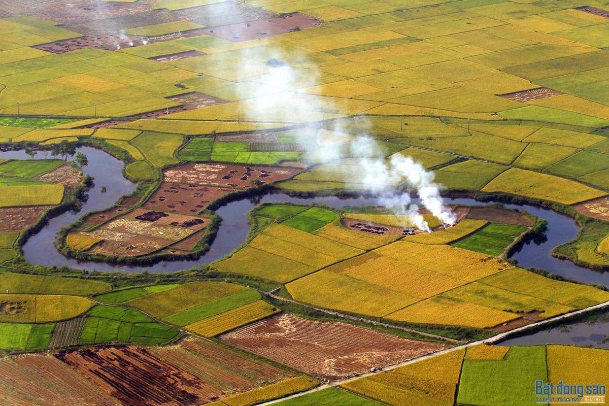 Cánh đồng Bắc Sơn (Lạng Sơn).  