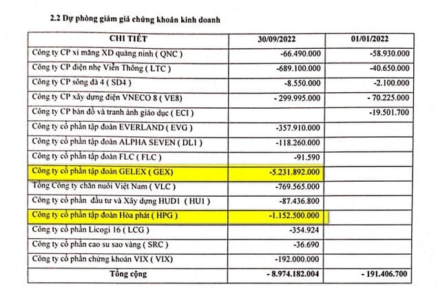 Danh mục chứng khoán của CMC. (Ảnh: CMC)