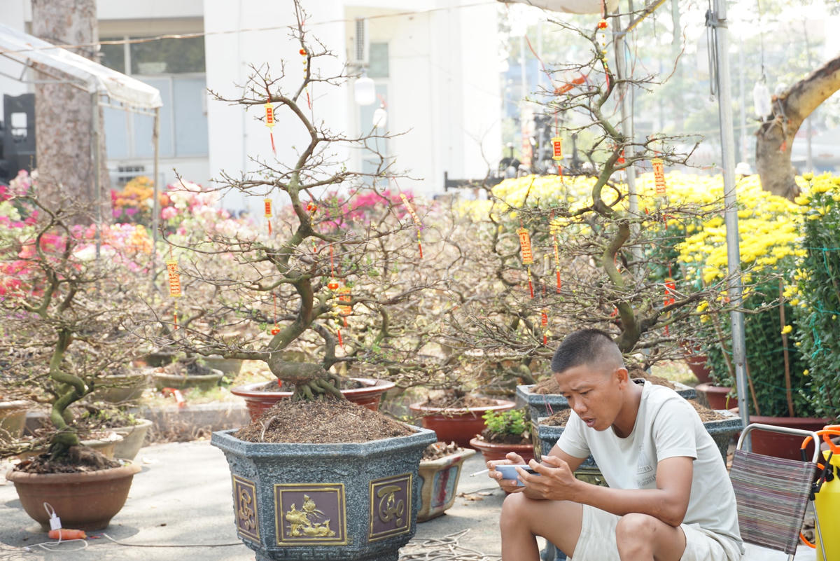 Hoa Tết ế, nhiều chủ vựa chỉ biết dùng điện thoại để giết thời gian. Ảnh: Mạnh Thìn.