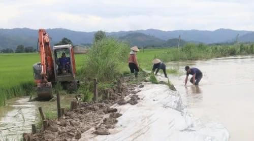 Đắk Lắk: Mưa lũ làm 128 ngôi nhà, 4.478 ha cây trồng bị ngập lụt