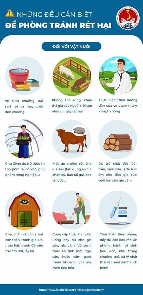 'Infographics': Rét hại và cách phòng tránh