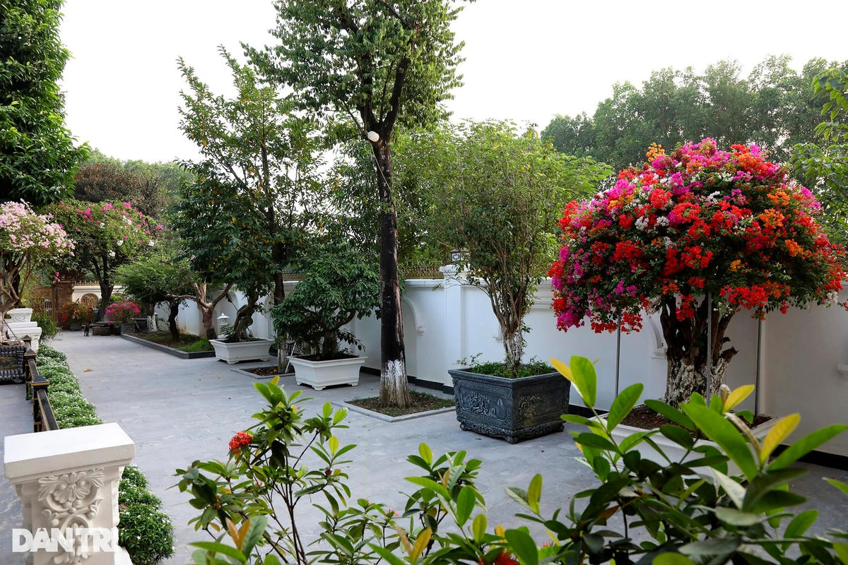 Biệt thự nhà vườn như lâu đài của "Đại gia chân đất" Quang Tèo