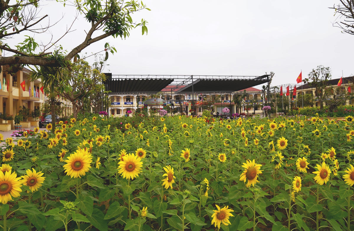 Như một công viên thu nhỏ, những ngày này, tại khuôn viên của Trường THCS Mỹ Châu trở nên rực rỡ sắc hoa và màu xanh tươi của cây lá.