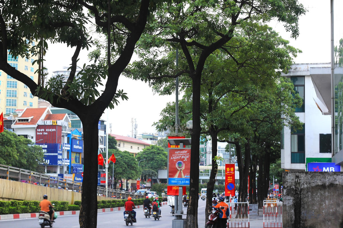 Khi Hà Nội bước vào mùa thu, tiết trời trở nên se lạnh hơn. Đó cũng là lúc mùi hoa sữa len lỏi trên từng con phố Trần Duy Hưng, Lê Văn Lương, Nguyễn Chí Thanh,...