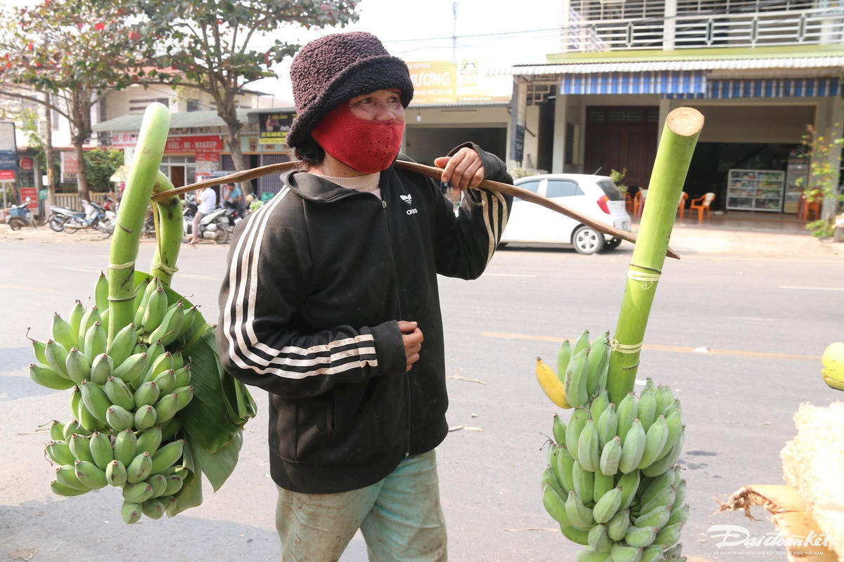 W_anh-6.5.jpg
