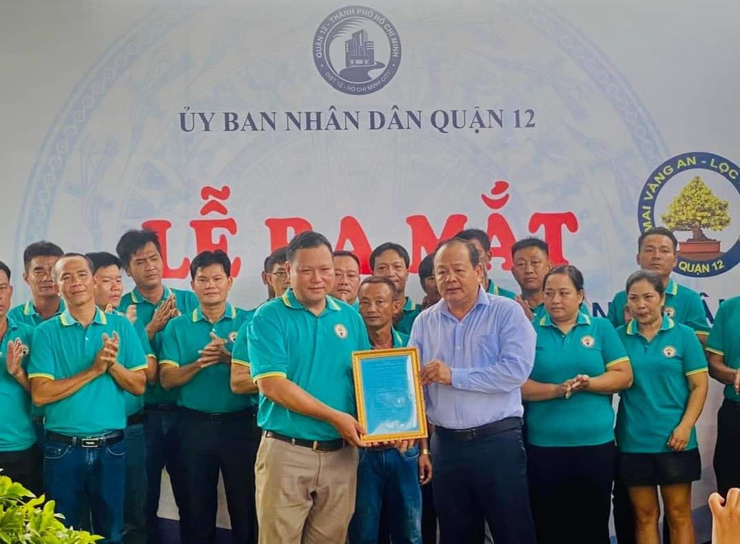TP HCM: Thành lập hợp tác xã mai vàng An Lộc Xuân, Quận 12